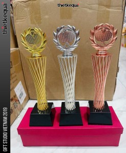 Cúp giải đấu picklepall Hà Nội mở rộng